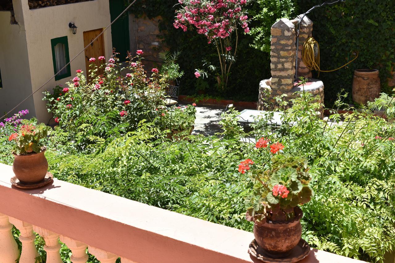 Palmeraie Guest House Тингир Экстерьер фото